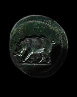 De-extinction: the last rhinos